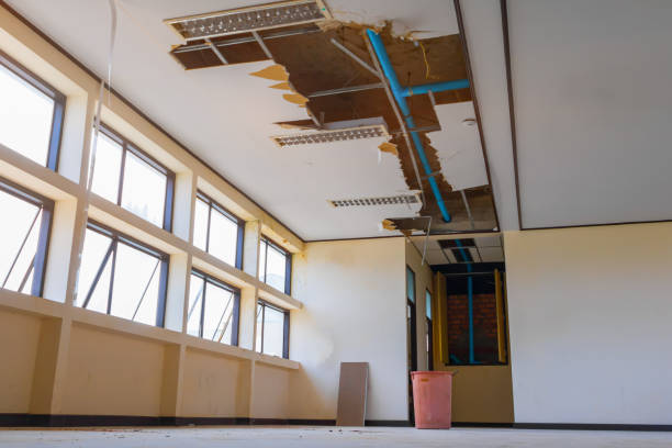 Best Basement water damage restoration  in Penn Valley, CA