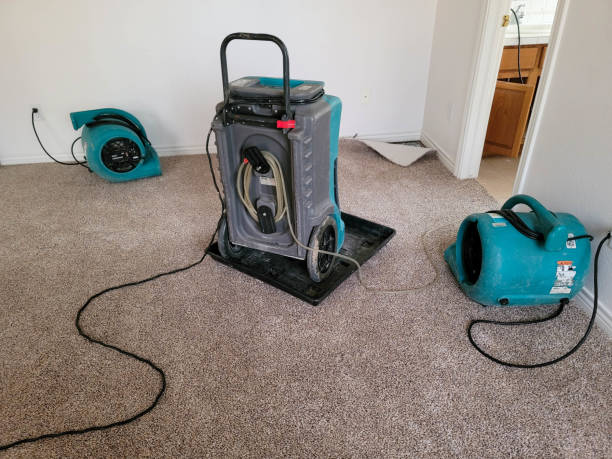 Best Water damage restoration near me  in Penn Valley, CA