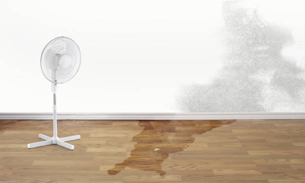 Best Water damage cleanup near me  in Penn Valley, CA