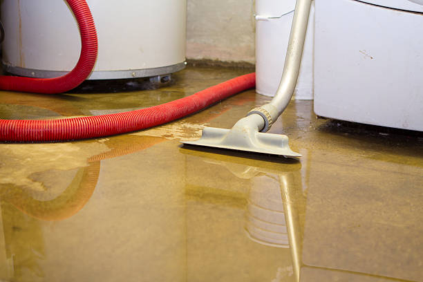 Best Water damage restoration specialists  in Penn Valley, CA