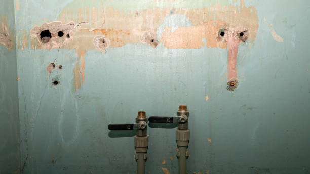 Best Carpet water damage restoration  in Penn Valley, CA