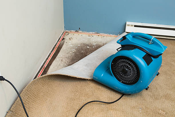 Professional Water damage restoration in Penn Valley, CA